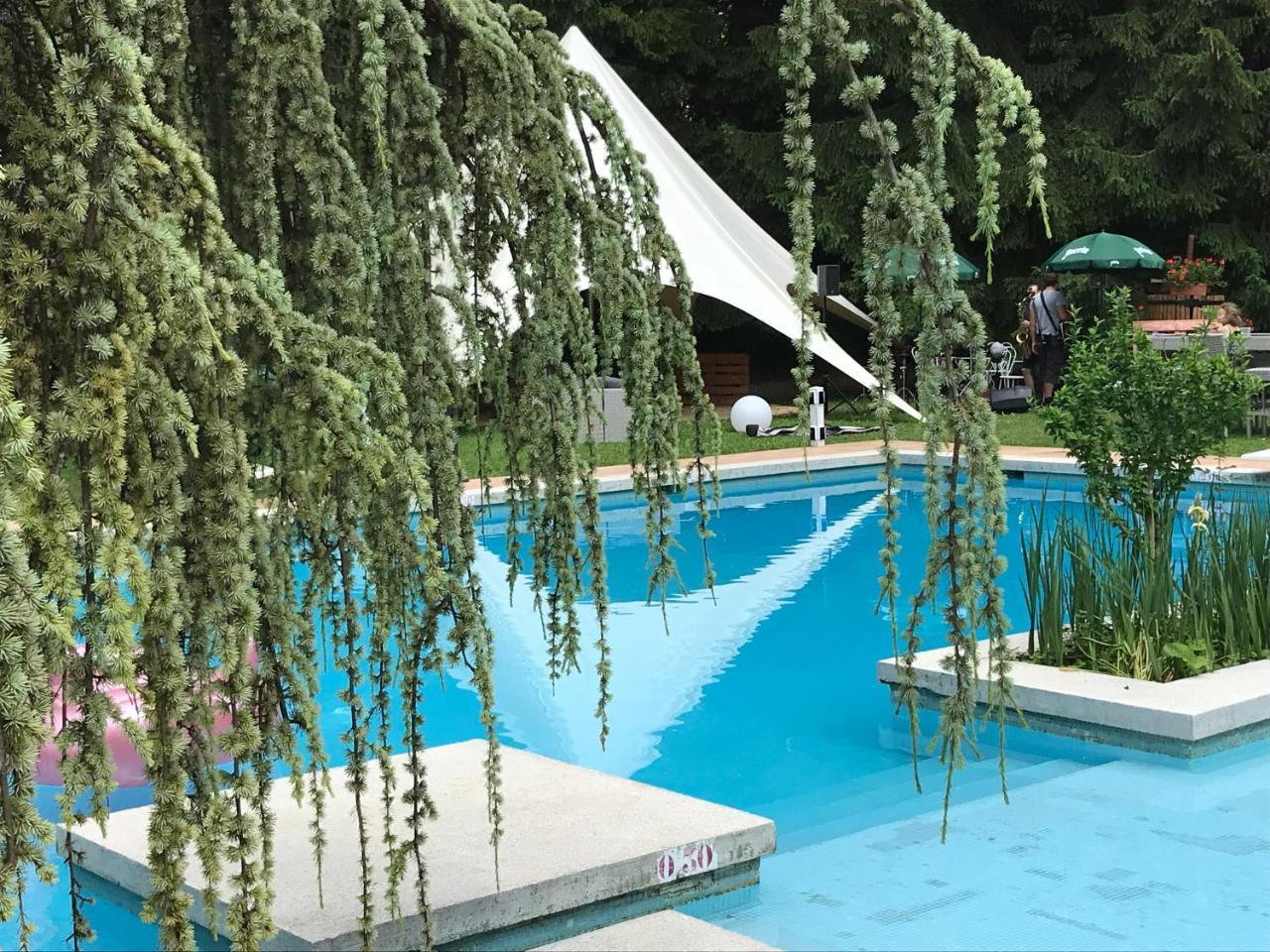 Hotel Hotel-restaurant 